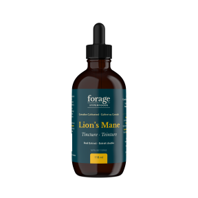 Lion's Mane Tincture - Original 118ml
