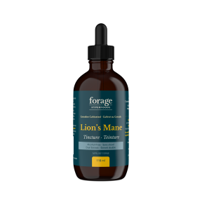 Lion's Mane Tincture - Alcohol Free 118ml