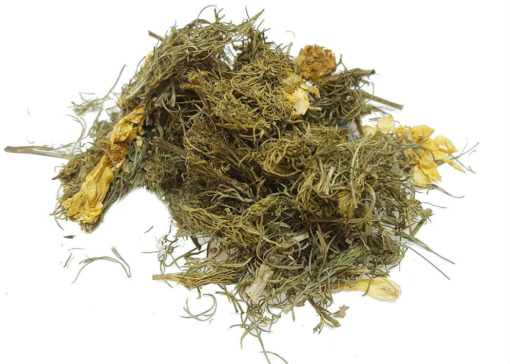 Adoide (adonis vernalis)