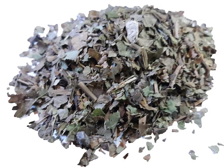 Black Walnut leaves