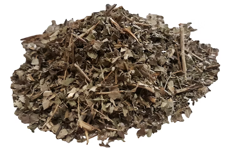 Black berry leaves