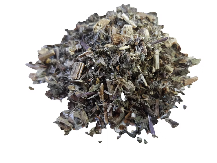 Boneset