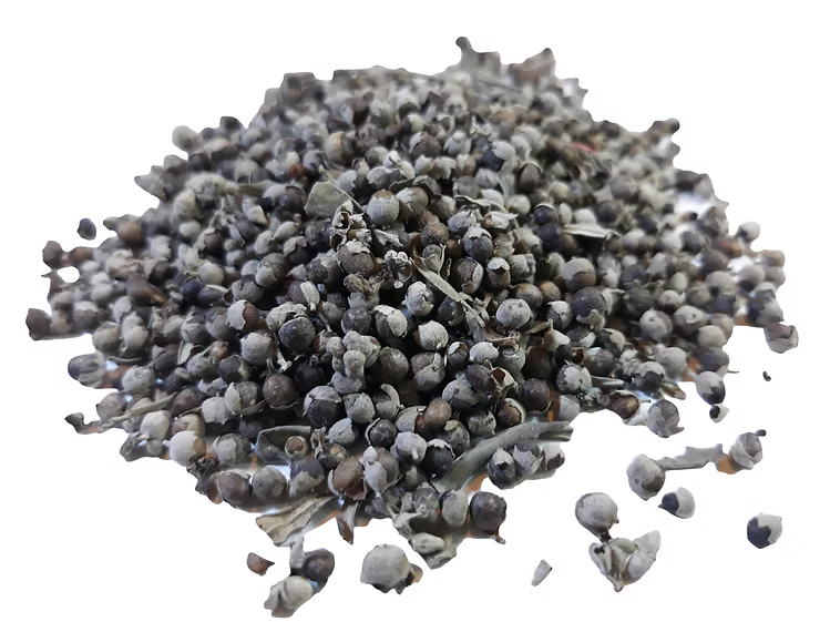 Chaste tree berry whole