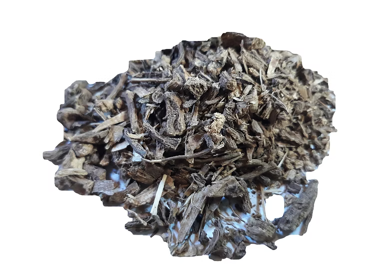 Coleus forskohlii root