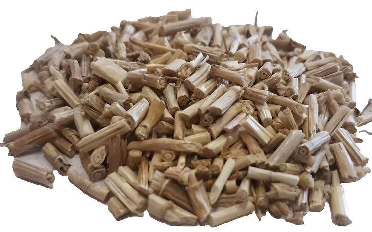 Couch grass (Dog grass)