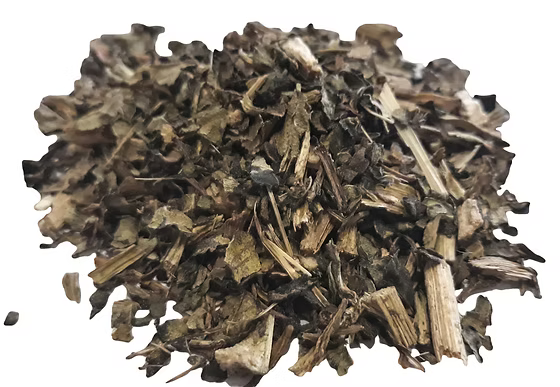 Echinacea purpurea herb