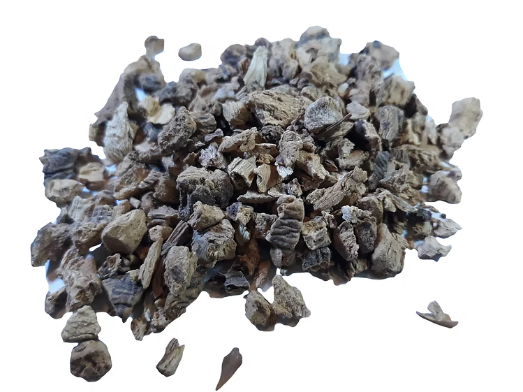 Gentian root