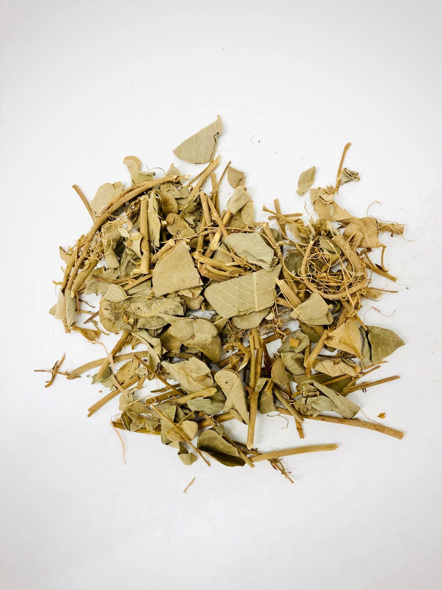 Gold coin herb
