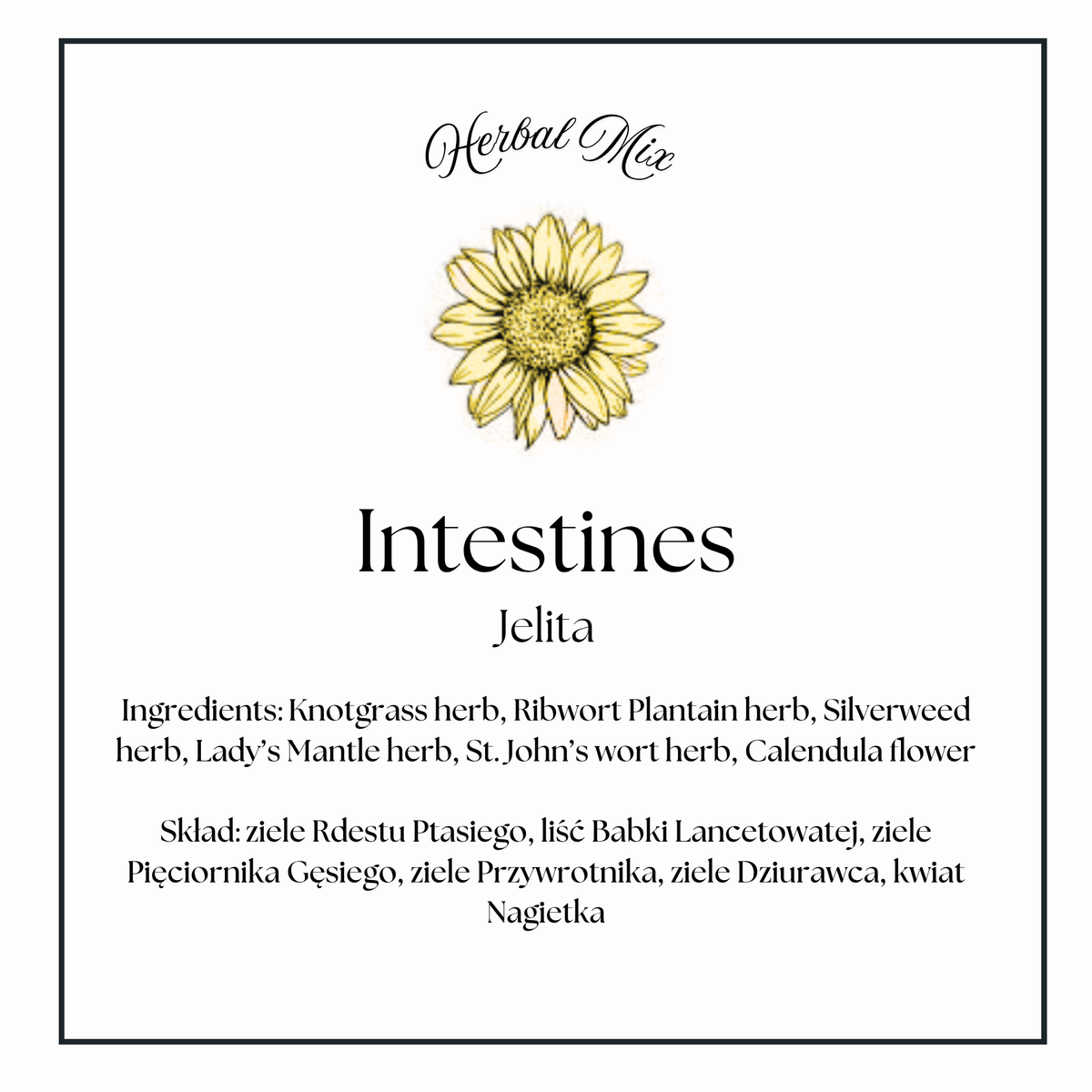 Intestines