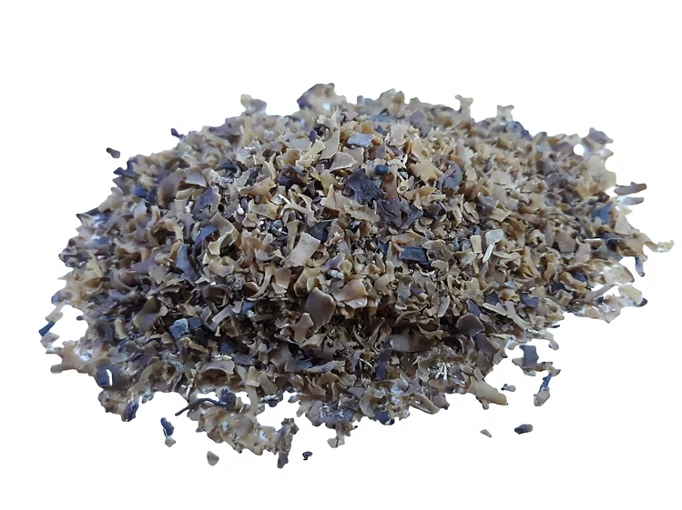 Irish moss
