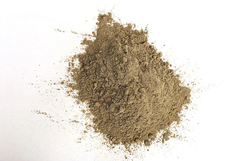 Kelp Atlantic powder