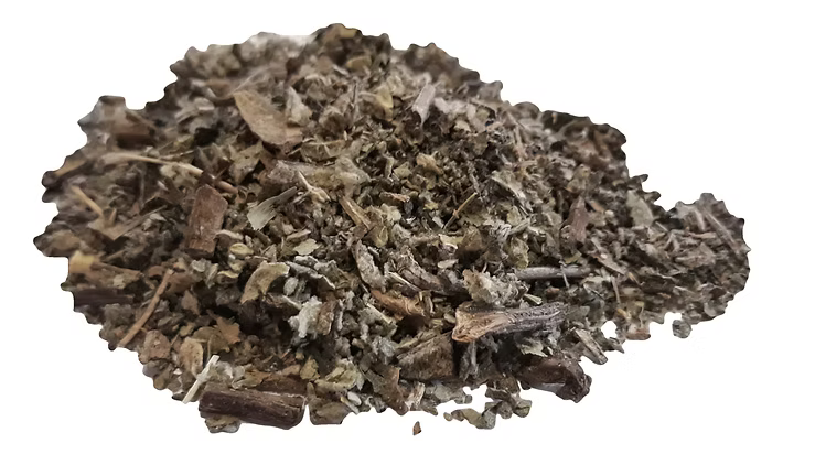 Mullein leaves