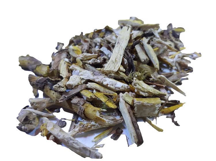 Oregon Grape Root