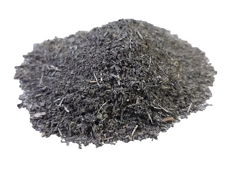 Patchouli leaves