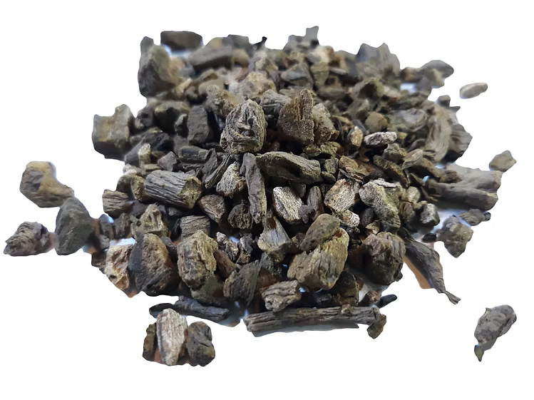Rhubarb root