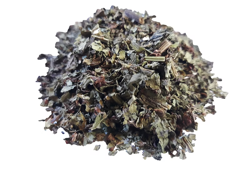 Sheep sorrel herb