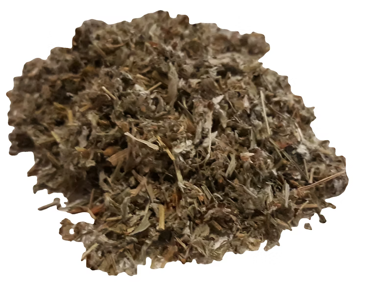 Silverweed herb
