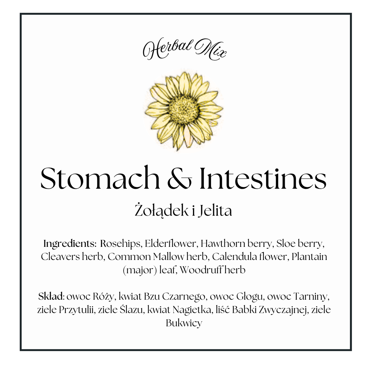 Stomach & Intestines