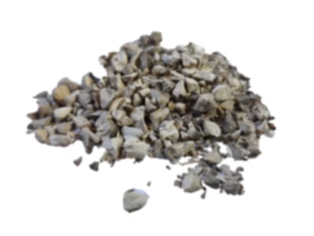 Stone root