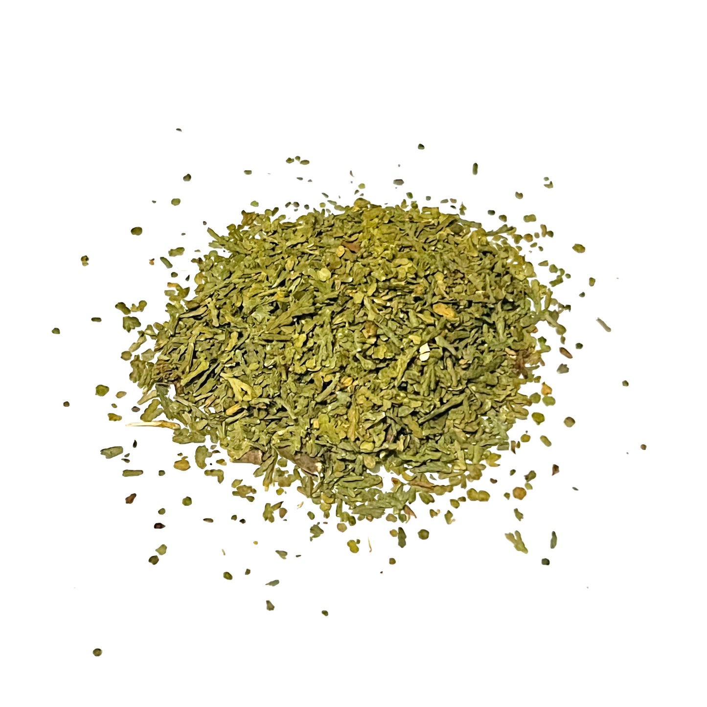 Thuja (Eastern White Cedar) leaves
