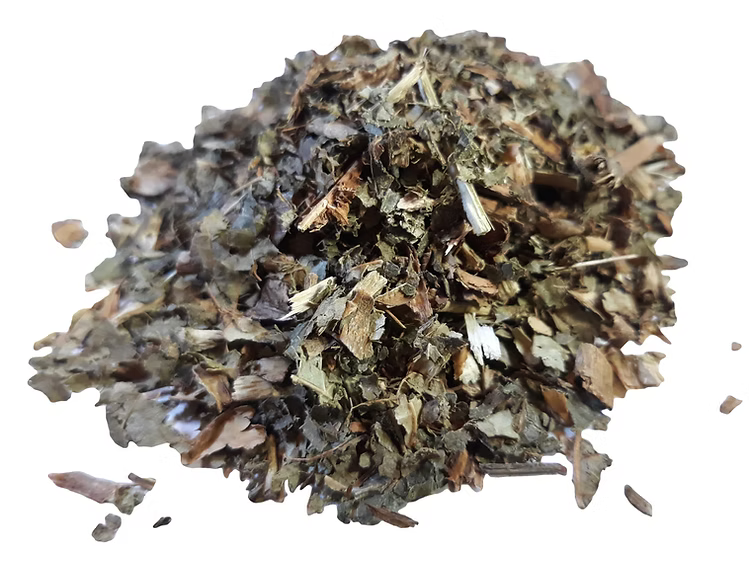 Witch hazel leaves