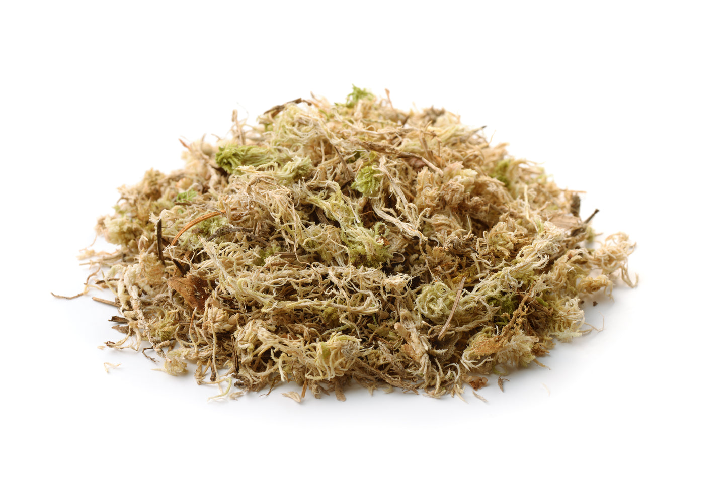 Usnea moss (Old man's beard moss)