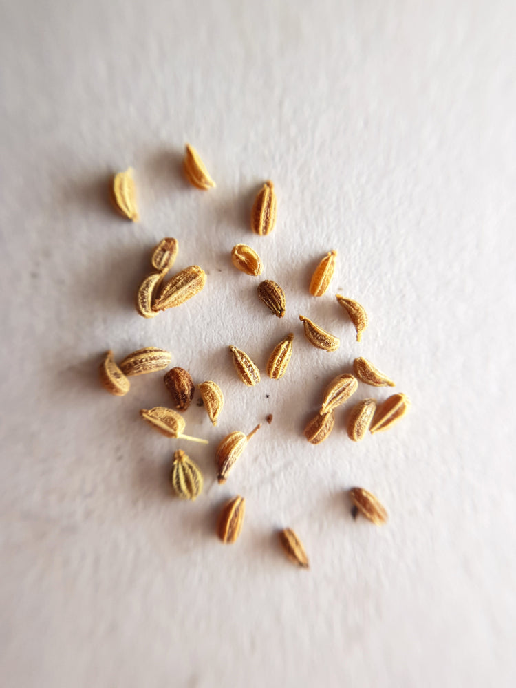 Celery seed whole