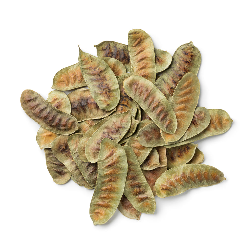 Senna pods