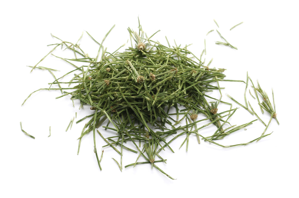 Horsetail