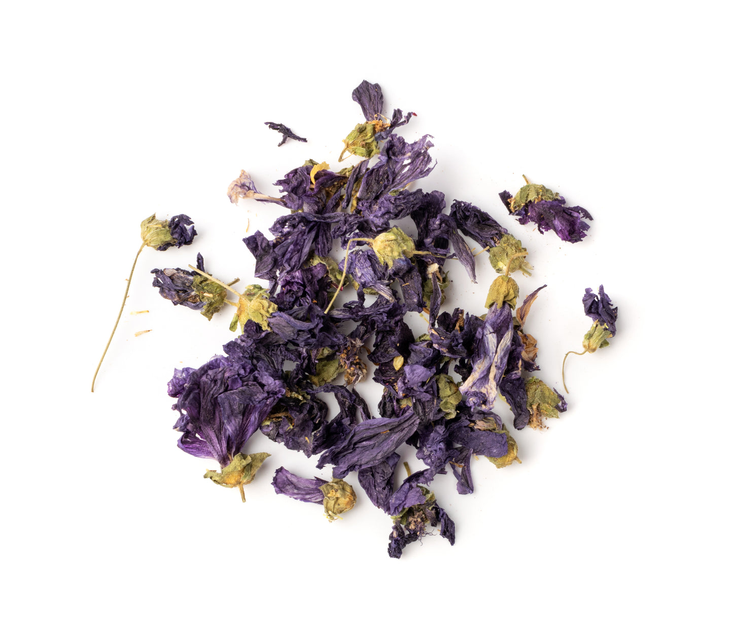 Violet herb