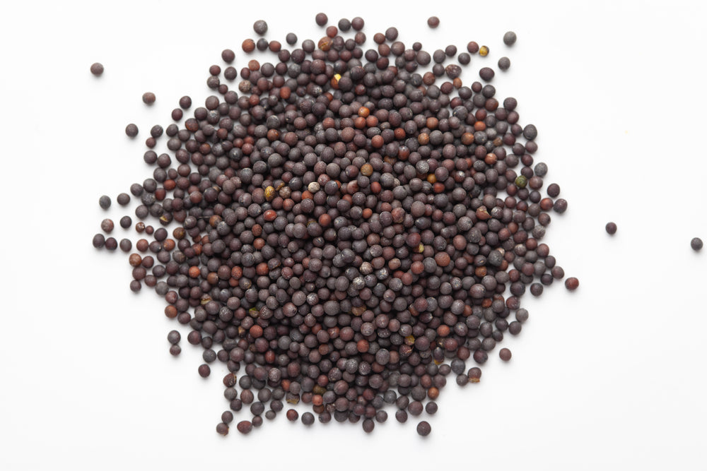 Mustard seed black