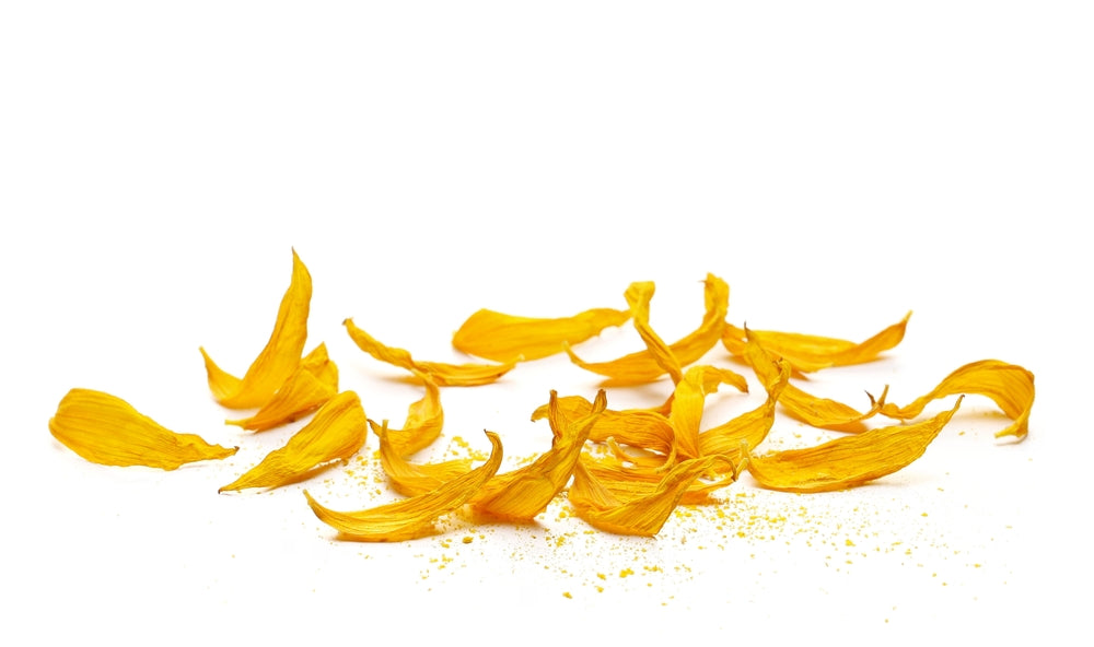 Sunflower petals