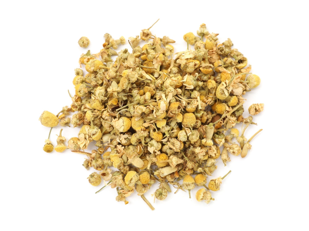 Chamomile flower