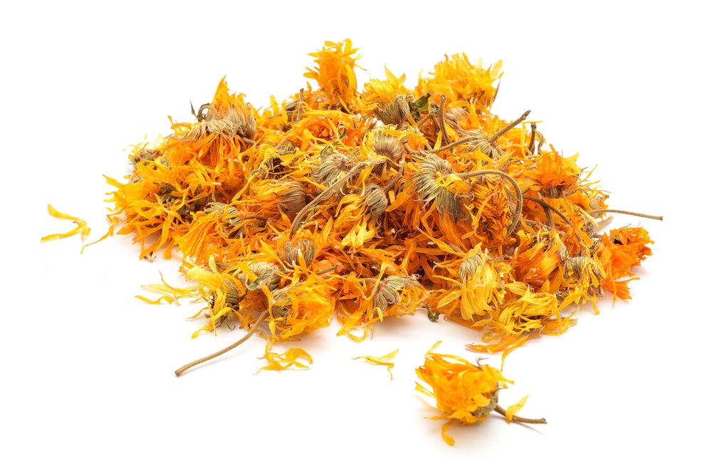 Calendula (Marigold) flower