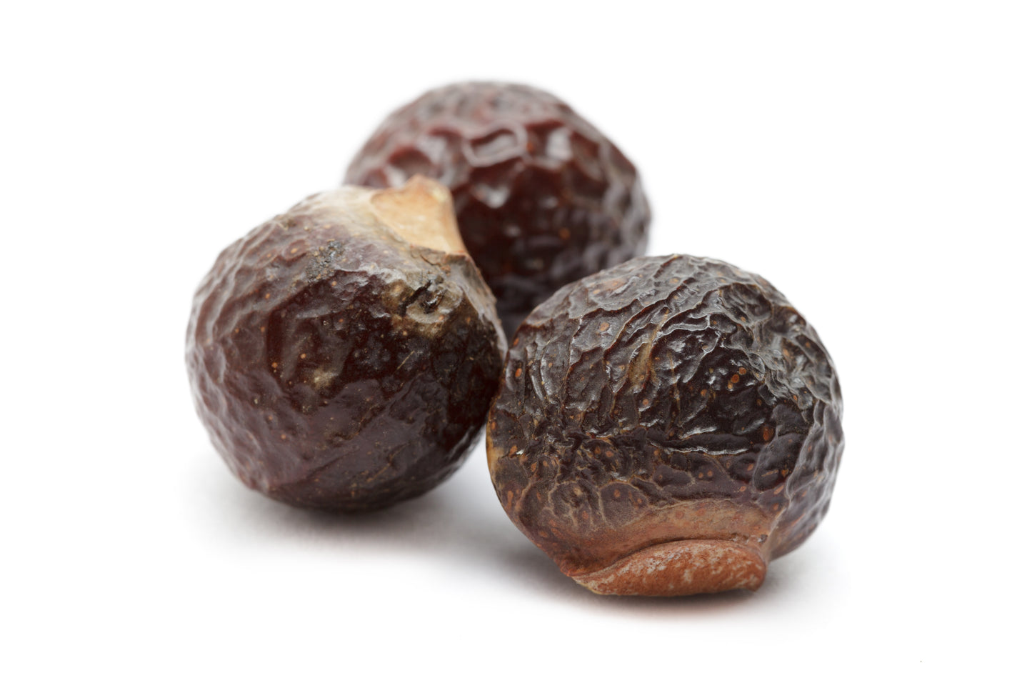 Washnut