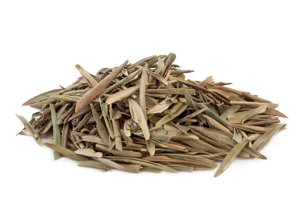 Olive leaves