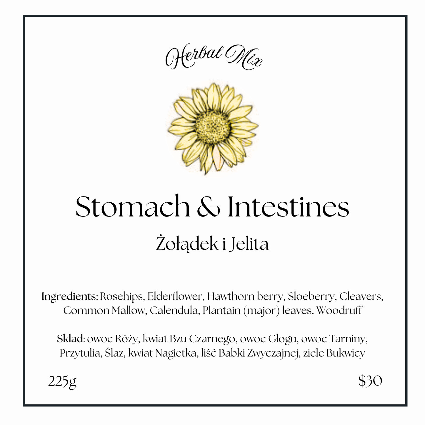 Stomach & Intestines