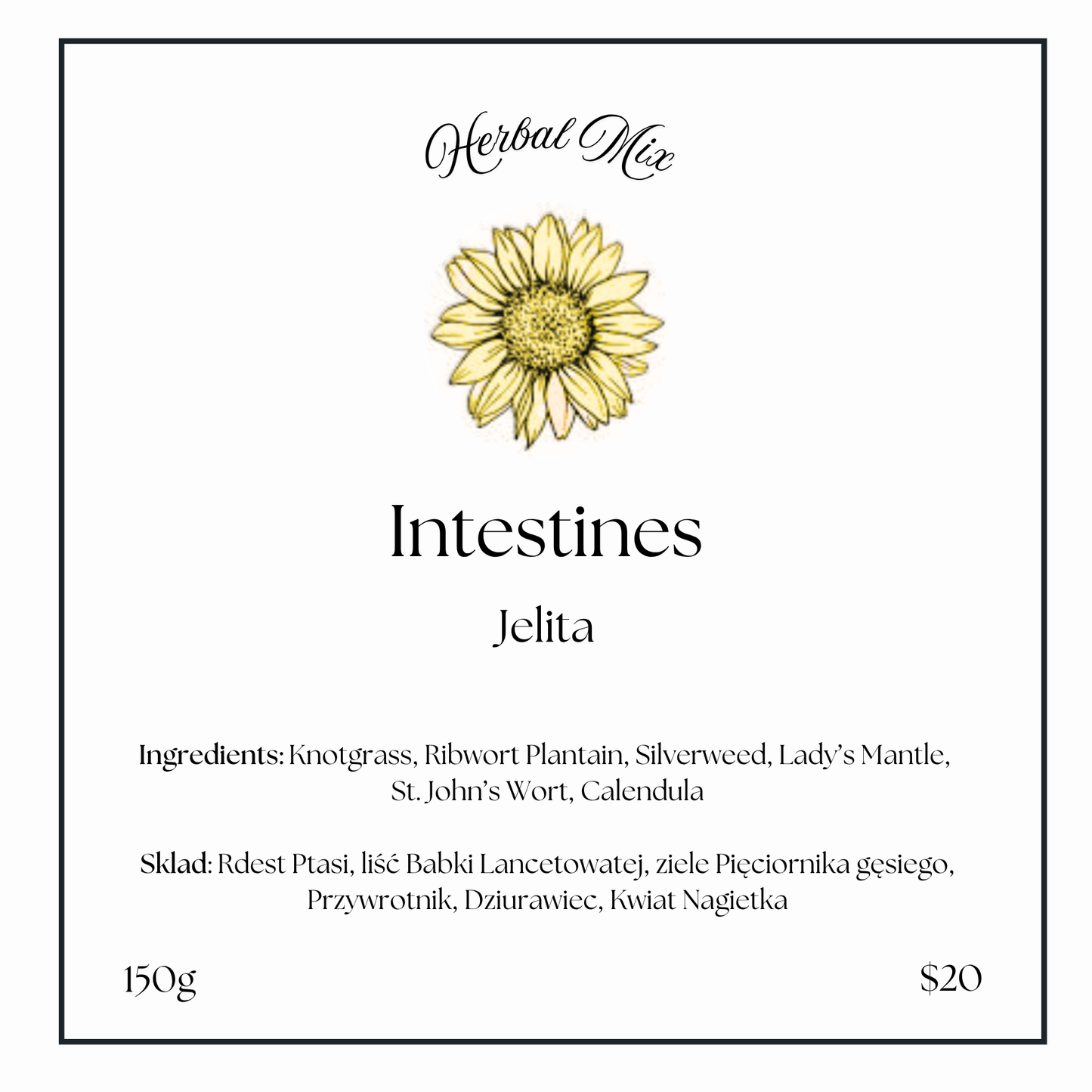 Intestines