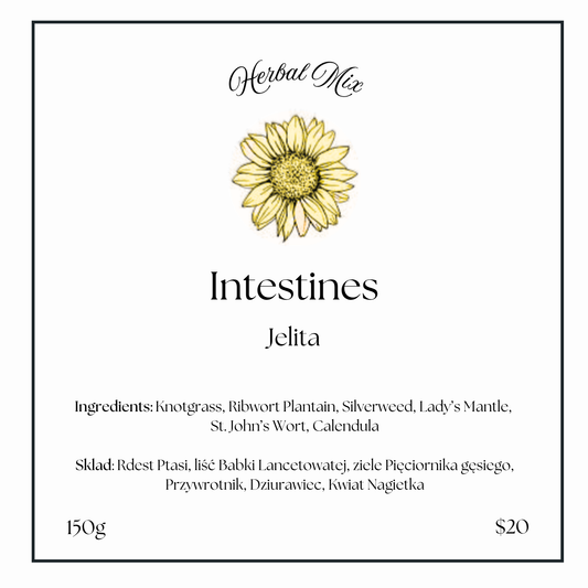 Intestines