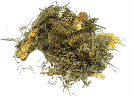 Adoide (adonis vernalis)