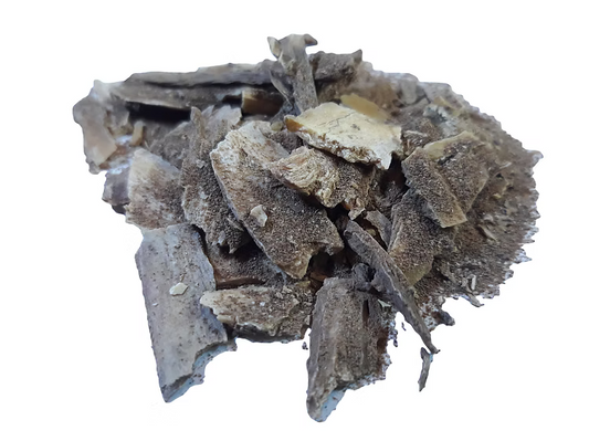 Dong quai root