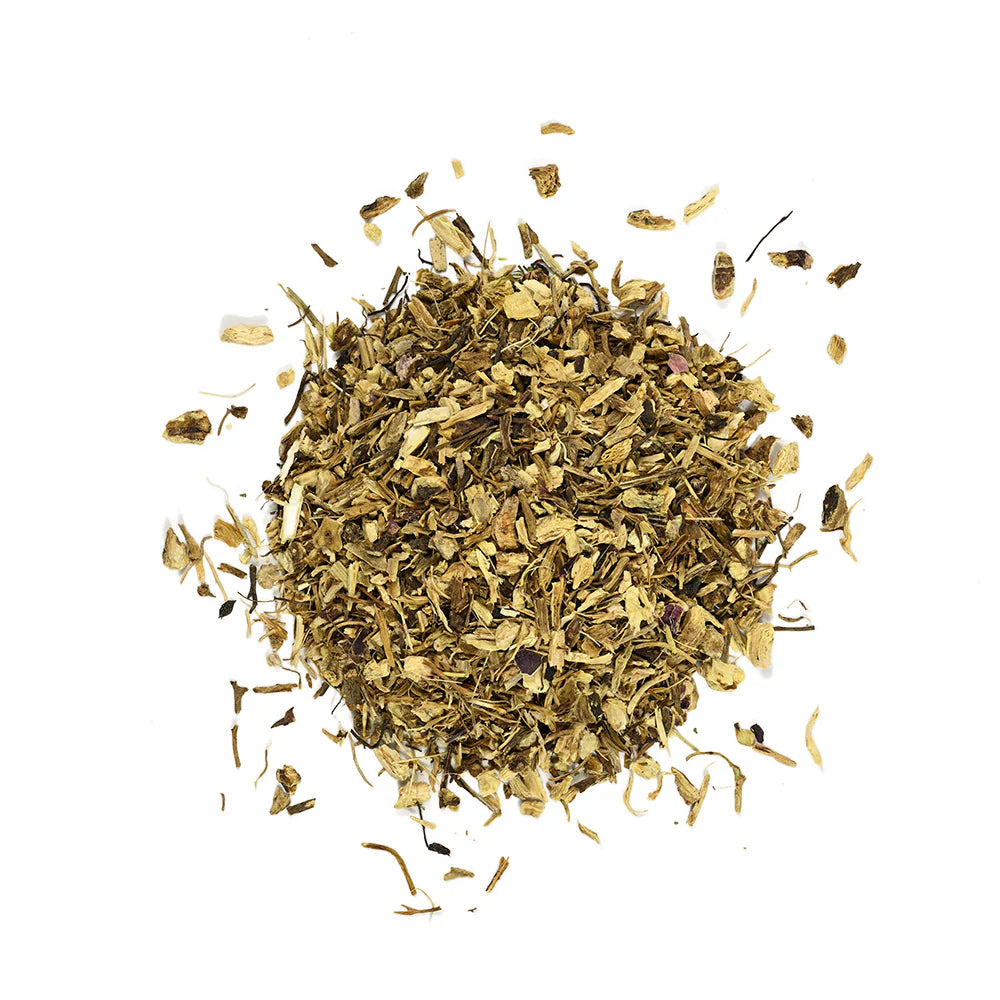 Echinacea purpurea root