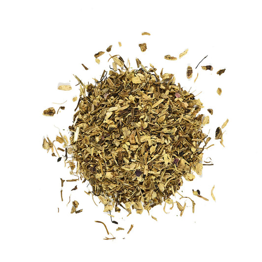 Echinacea purpurea root