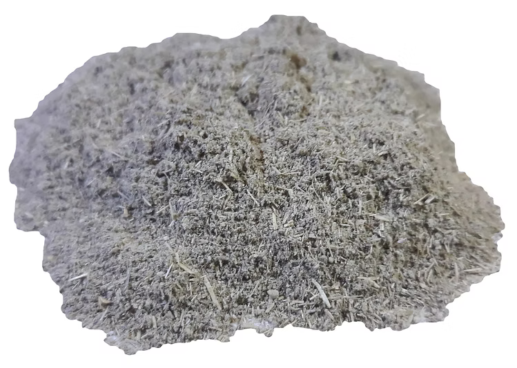 Echinacea purpurea root powder