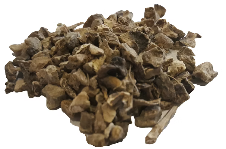 Elecampane root
