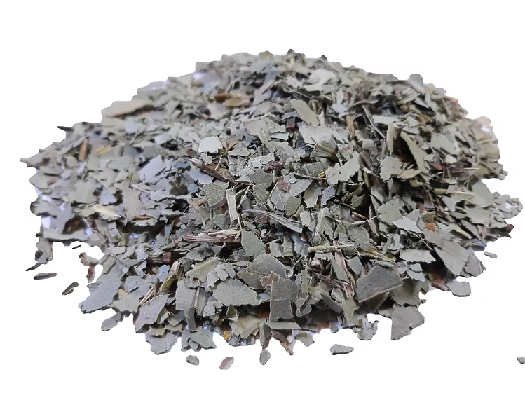 Eucalyptus leaves
