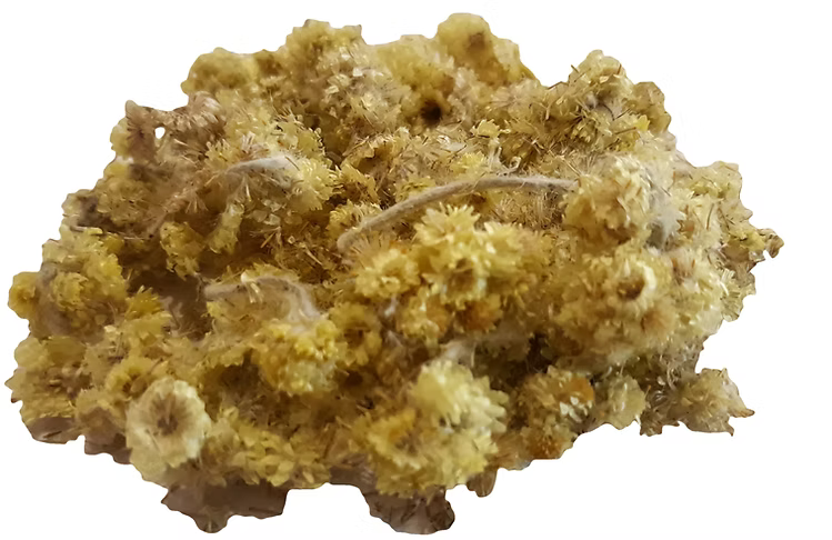 Everlasting flower whole