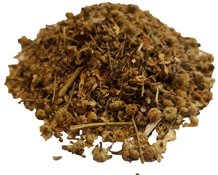Feverfew flower herb