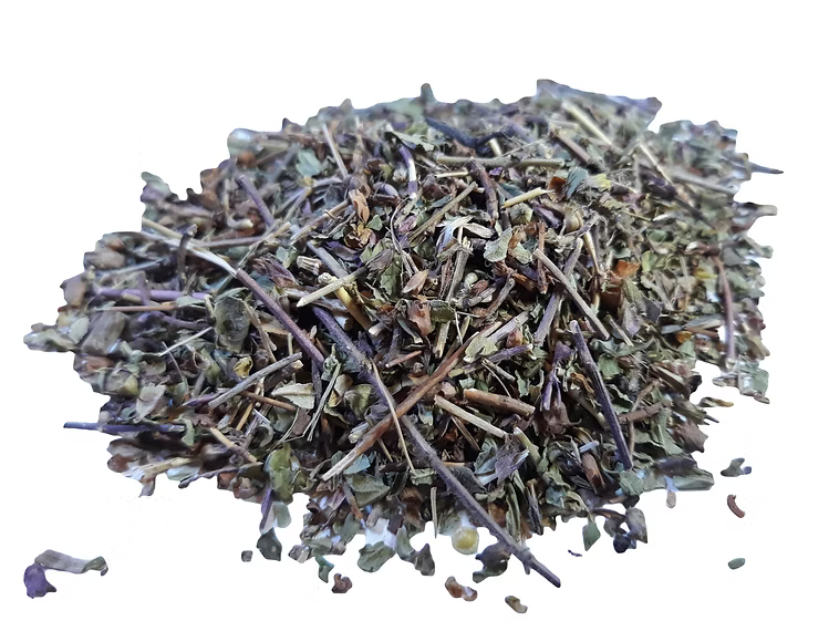 Germander herb