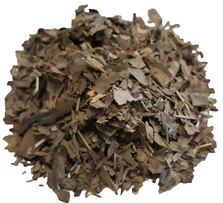 Ginkgo biloba leaves